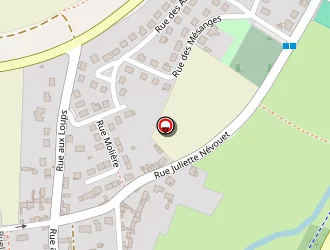 Carte de Salon Xavier à Goincourt