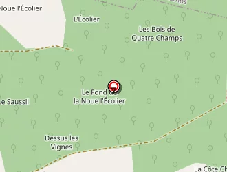 Carte de Bouché Yves à Toges