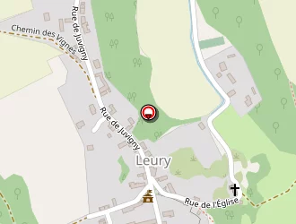 Carte de Carrefour (earl) à Leury