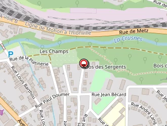 Carte de Dalkia Est à Longuyon