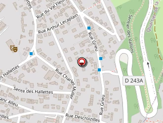 Carte de Diallo Cheick à Rouen