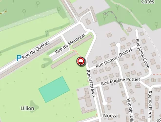 Carte de Yildiz Senol à Longuyon