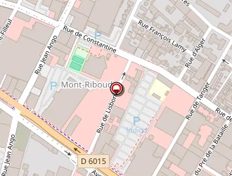 Carte de Auto Sécurité Lfm Contrôle Adhérent à Rouen