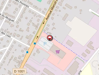 Carte de Pizza Ludo à Beauvais