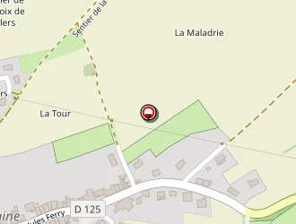 Carte de Violin Caroline à Morfontaine