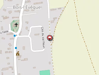 Carte de Synopsis à Bois-l'évêque