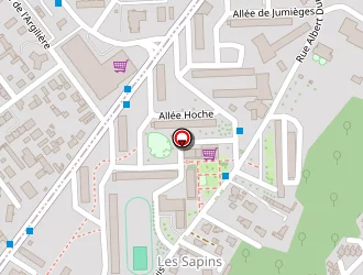 Carte de Laiguillon Fabienne à Rouen