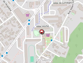 Carte de Bruchet Michèle à Rouen