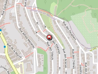 Carte de Lttf à Villerupt