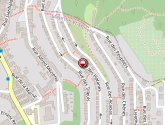 Carte de Turchetti Thierry à Villerupt