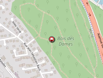 Carte de Ts Zen à Mont-saint-aignan