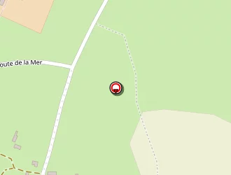 Carte de Id Végétale à Rozel (le)