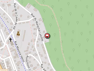 Carte de Ptoto Passion 76 à Trait (le)