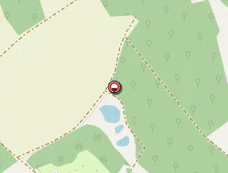 Carte de Merlin Nathalie à Aizelles