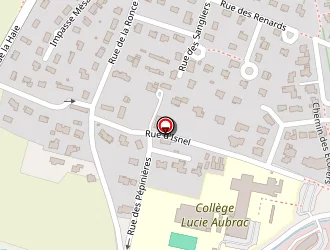 Carte de Dalion Alexandre à Isneauville