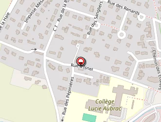 Carte de Sani-modul à Isneauville