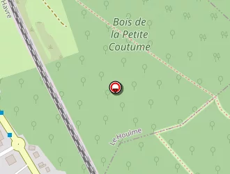 Carte de Sene à Houlme (le)