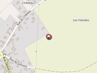 Carte de Spilemont Xavier à Saint-germainmont