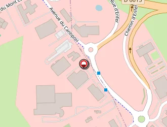 Carte de Becasse Steve à Gonfreville-l'orcher