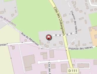 Carte de Requier à Gainneville