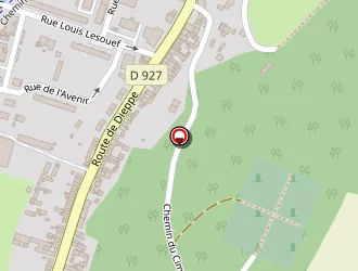 Carte de Fleurs Des Champs à Malaunay