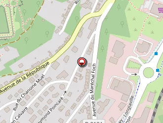 Carte de Vétérinaires Espace Saintignon à Longwy