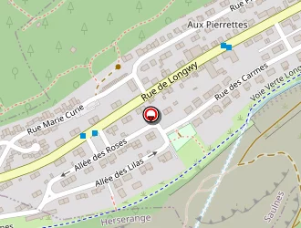 Carte de Jacquin Leroyer à Saulnes