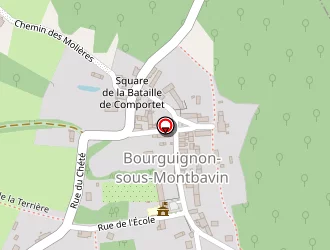 Carte de Mairie à Bourguignon-sous-montbavin