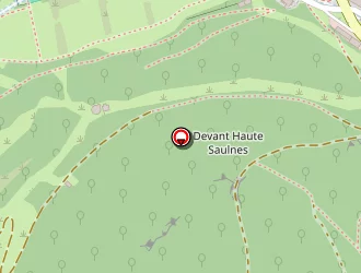 Carte de Urgence (services Locaux) à Saulnes