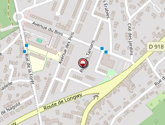 Carte de Campese Roger à Longwy