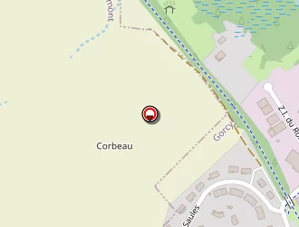 Carte de Carine De Campos Almeida à Gorcy