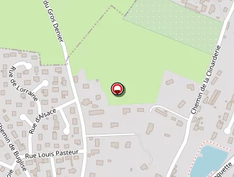 Carte de Menezes Da Silva Téréza à Cayenne