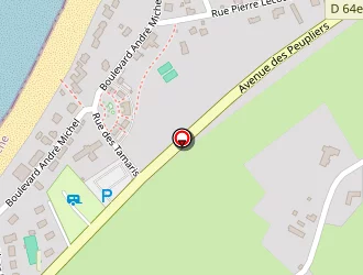 Carte de I C E à Siouville-hague