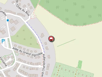 Carte de Lelano Vincent à Noyon