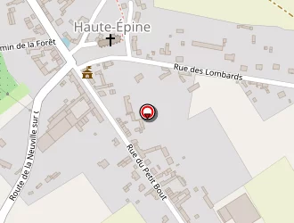 Carte de Wasserman Sons à Haute-épine