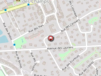 Carte de Lecossois Carmen à Yvetot