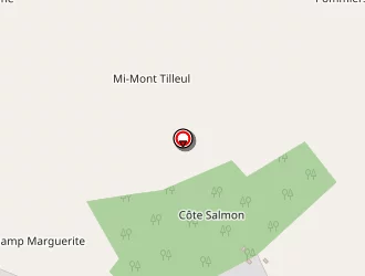 Carte de Urbanski Thomas à Blagny