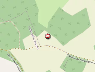 Carte de Jeu D'arc à Caillouël-crépigny