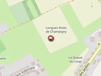 Carte de Frenois Ludovic à Carignan