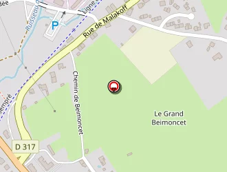 Carte de Terrain De Petanque à Carignan