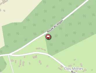 Carte de Morin Eric à Saint-saëns