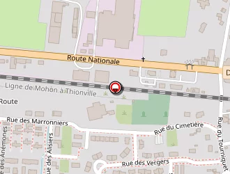 Carte de Decours Damien à Douzy