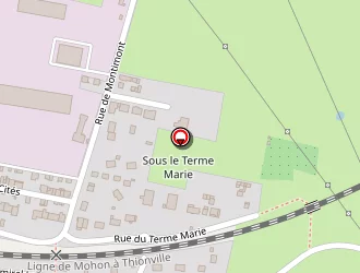 Carte de Domelier Didier à Donchery