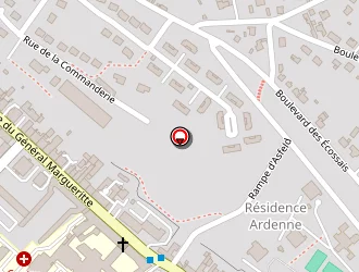 Carte de Taxis Chris à Sedan