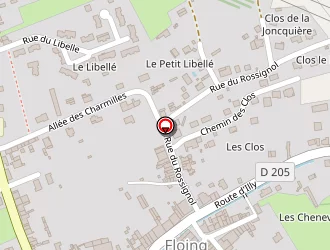 Carte de Dominique à Floing