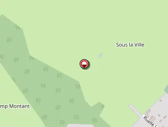 Carte de Jardiland à Francheville (la)