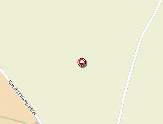 Carte de Surets Dominique à Thérouldeville