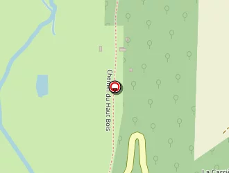 Carte de Gueudin Denis à Saâne-saint-just