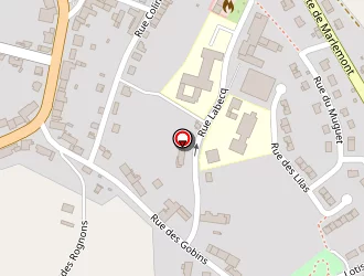 Carte de Renou Florent à Liart