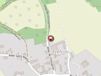 Carte de Bricout Robert à Trefcon